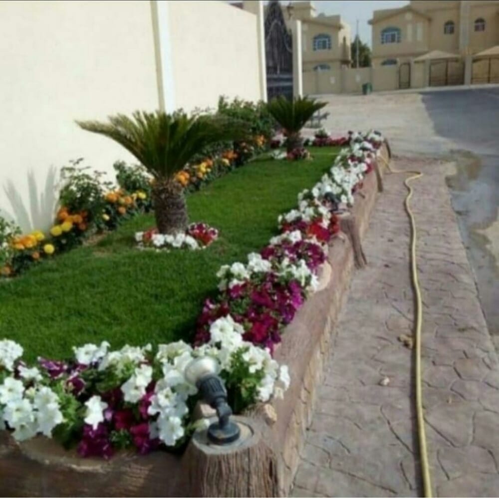 شركة زراعة الاشجار والنخيل وتركيب شبكات الري وزراعة الثيل الطبيعي بجدة ومكة 