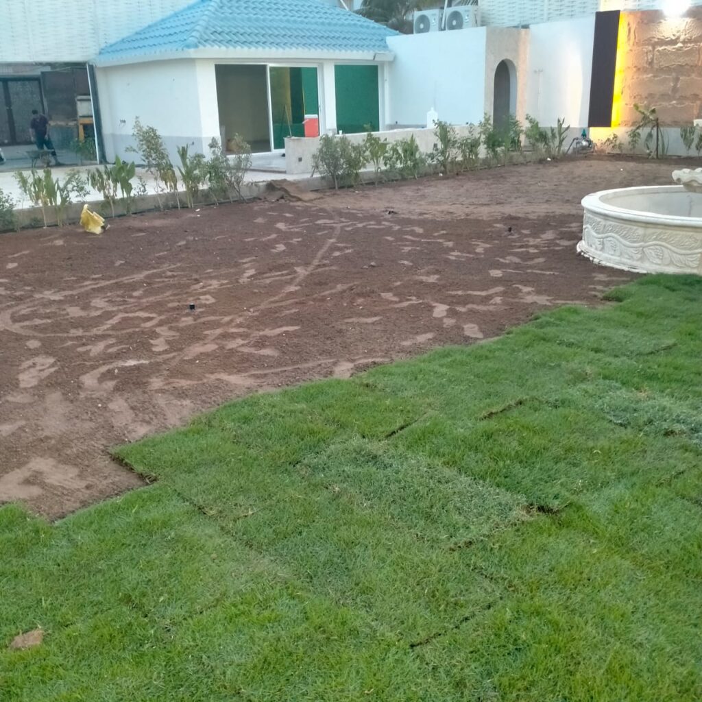 شركة زراعة الاشجار والنخيل وتركيب شبكات الري وزراعة الثيل الطبيعي بجدة ومكة 